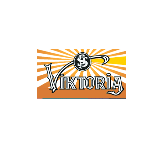 VİKTORİA BOYA