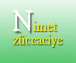 NİMET ZÜCCACİYE GIDA VE NAKLİYAT SAN VE TİC LTD ŞTİ