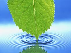 FSM WATER LEAF SU ARITMA SİSTEMLERİ