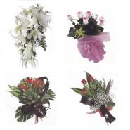 MİS ULUSLARARASI ÇİÇEKÇİLİK VE BOTANİK TEKS SAN TİC LTD ŞTİ