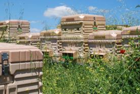 APİ MAYE ARICILIK EKİPMANLARI LTD ŞTİ