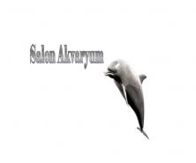 SALON AKVARYUM