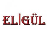 ELİGÜL ÇORAP SAN VE TİC AYDIN ELİGÜL