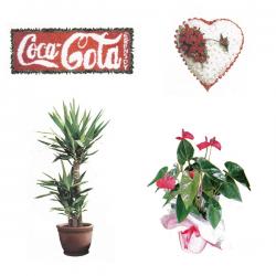 MİS ULUSLARARASI ÇİÇEKÇİLİK VE BOTANİK TEKS SAN TİC LTD ŞTİ