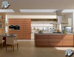 İNTER ORMAN VE DANZER GROUP 