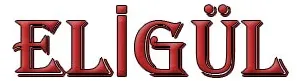 Eligül Çorap San. ve Tic. Aydın Eligül logosu