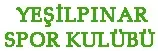 Yeşilpınar Spor Kulübü logosu
